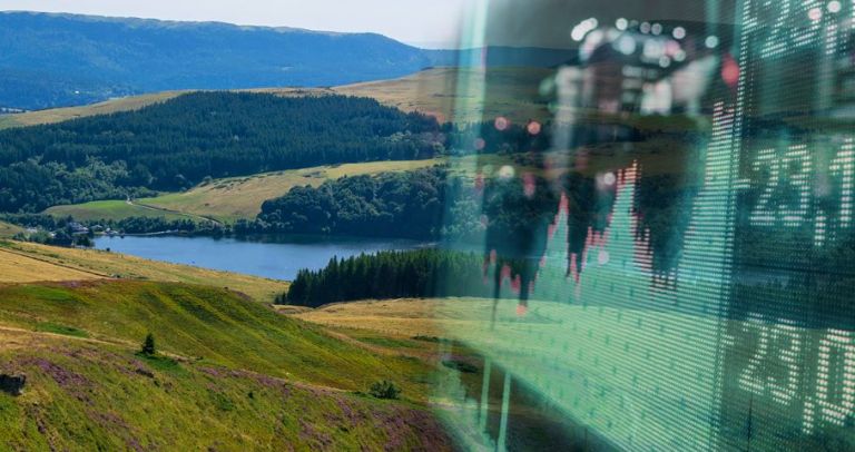 forestry and prices