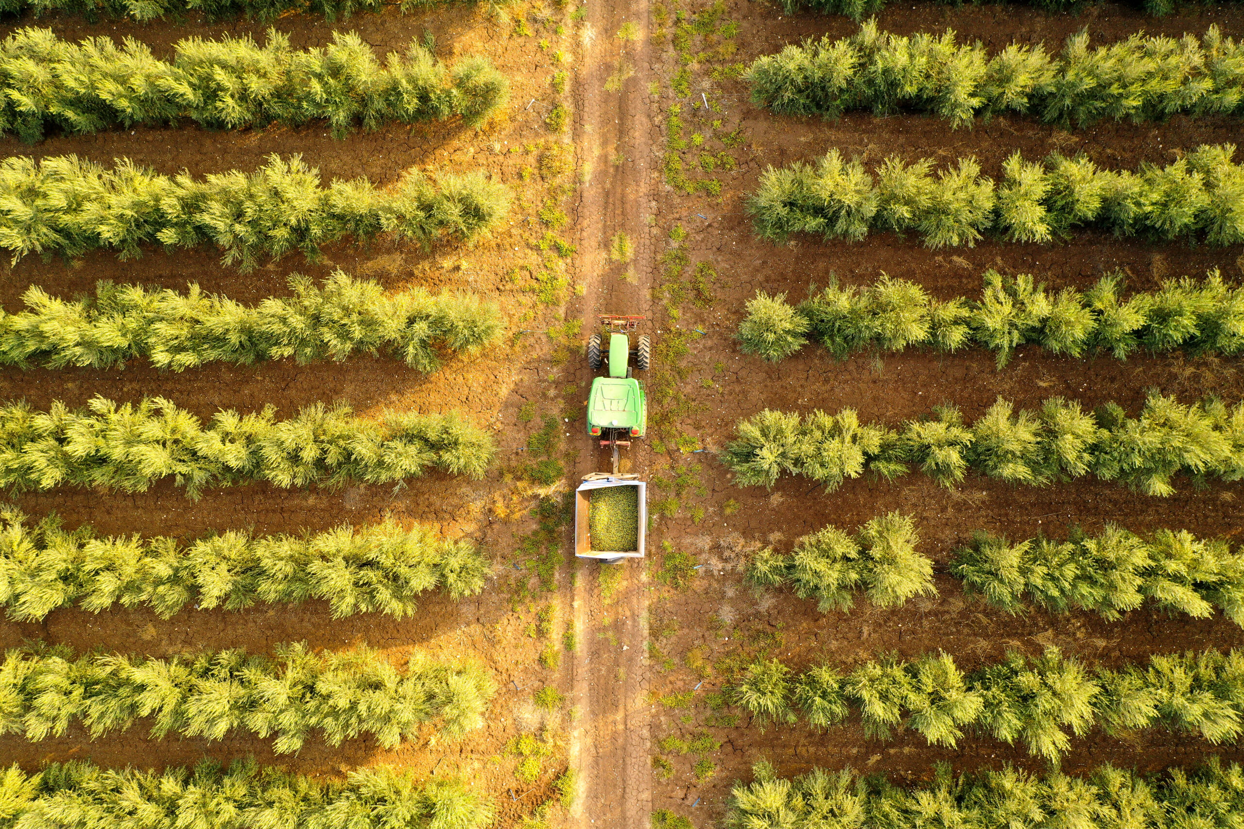 Image of tractor on farm, natural capital, agriculture