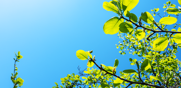 Gresham House Annual Report