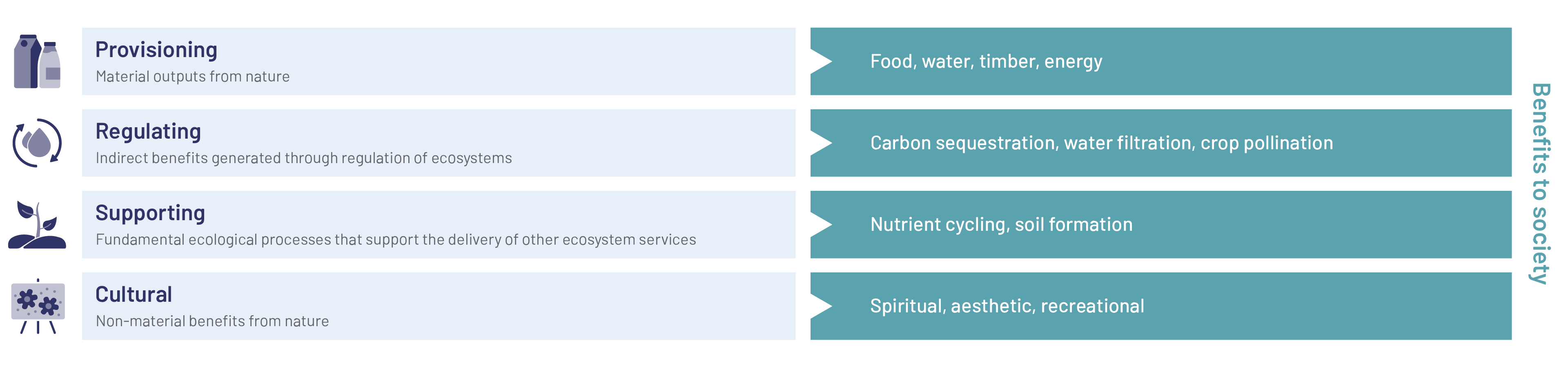breaking down composition of natural capital
