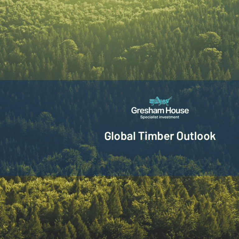Repot: Global Timber Outlook