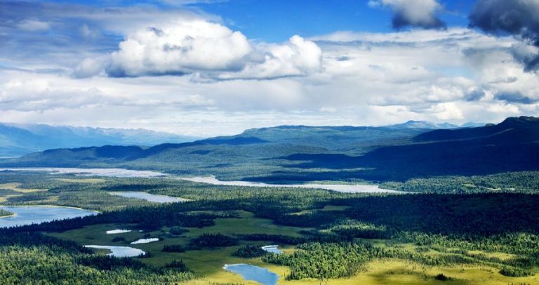 A look at the landscape