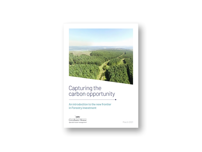 Capturing the carbon opportunity, front page