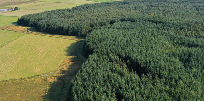 image of a gresham house forst with a wind farm in the distance