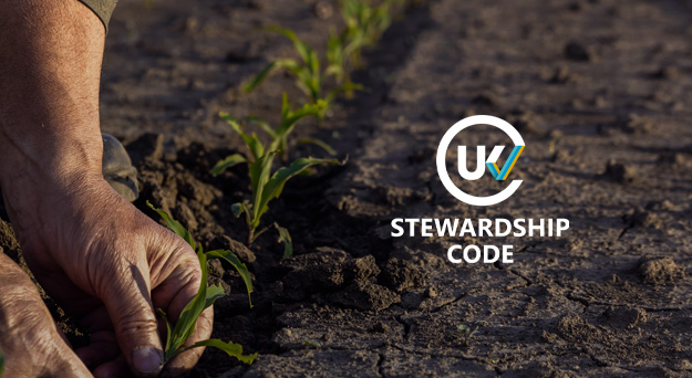 man planting seedlings