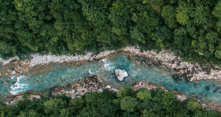 Stream in the forest