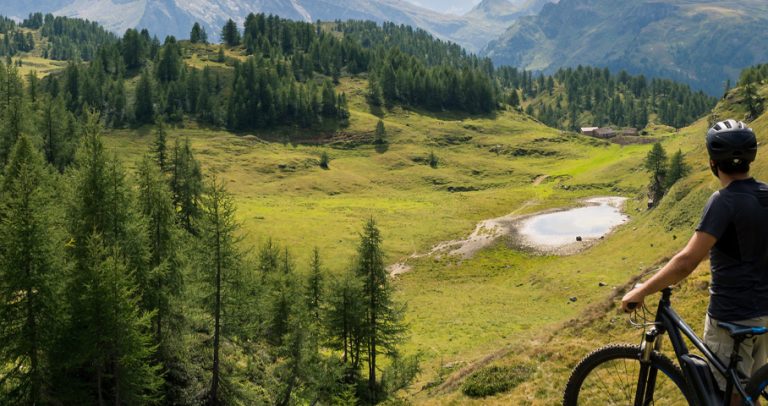 Aerial view of Forestry
