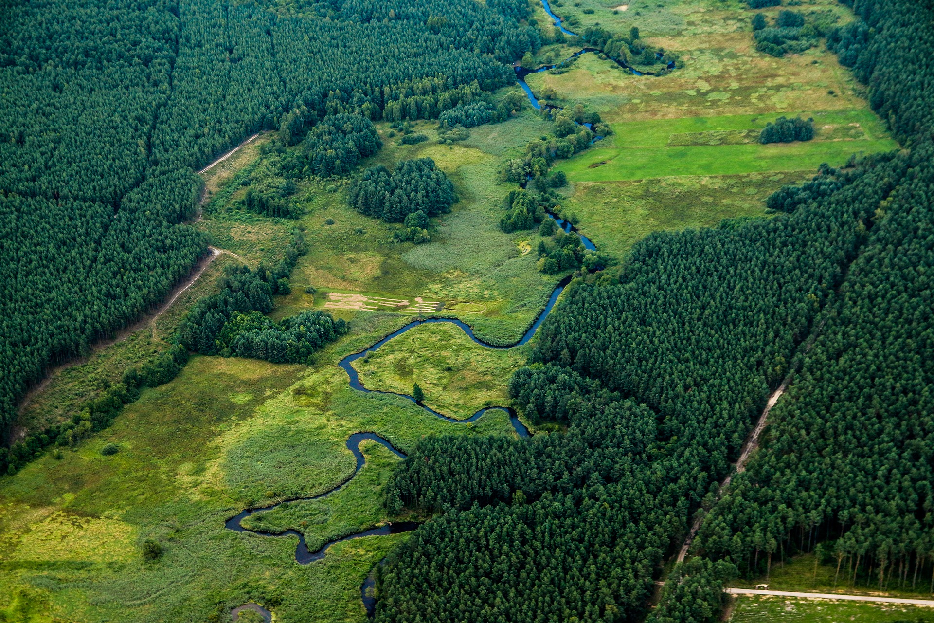 River in the forest