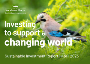 Front cover of sustainable investment report