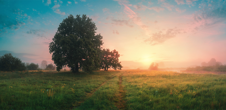 strong institutional demand for natural capital investments